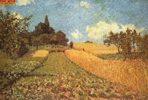 Kornfeld nach Sisley